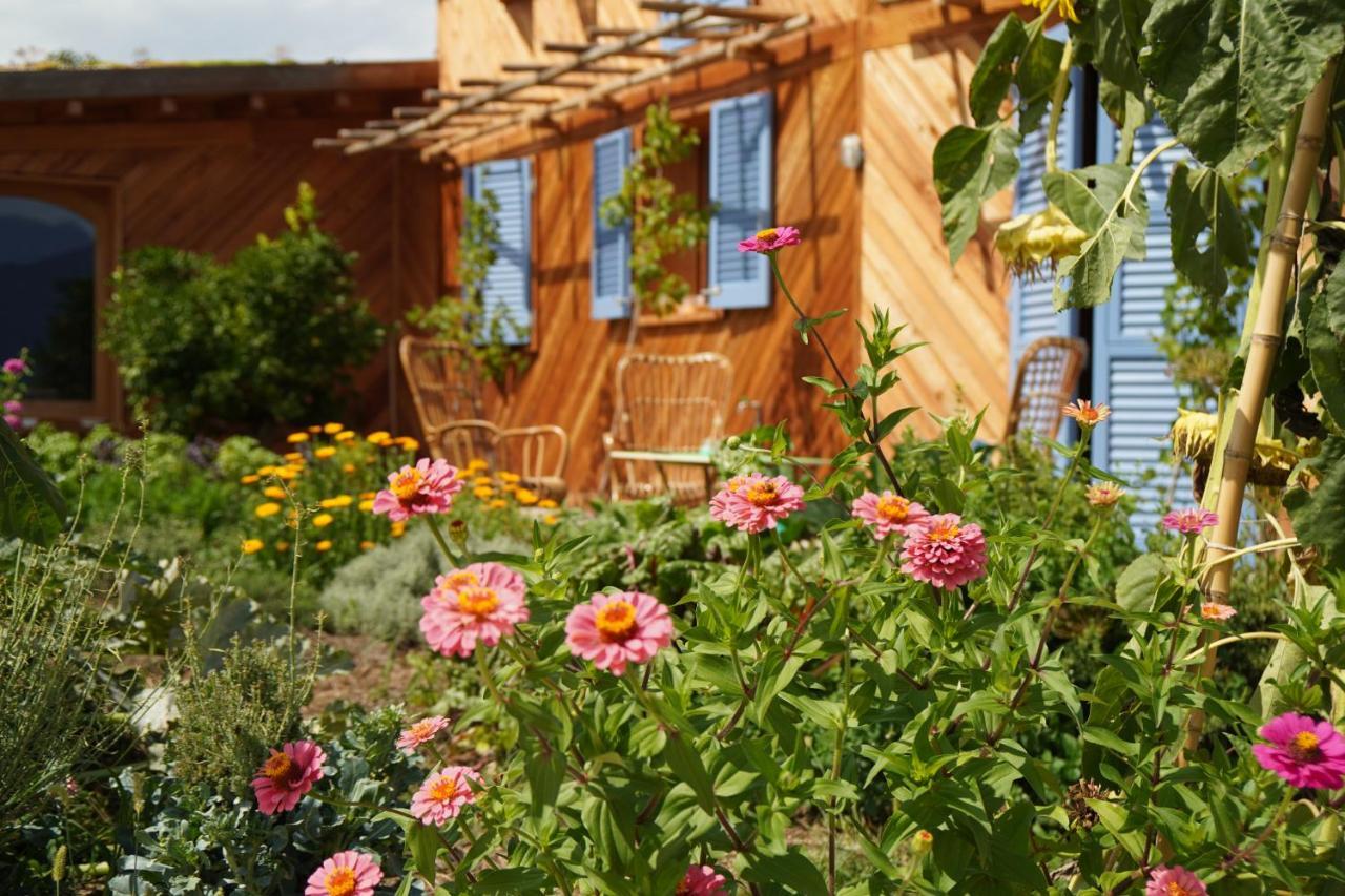 Casa Viva Bed & Breakfast Marciaga ภายนอก รูปภาพ